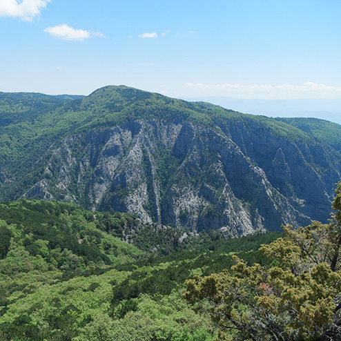 Orion Adatepe Kazdağı Milli Parkı